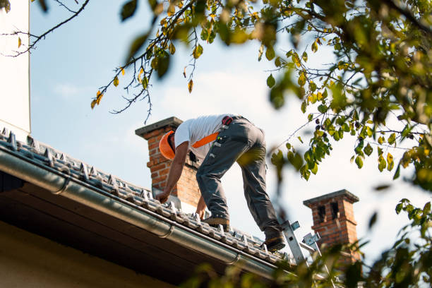 Best Roof Moss and Algae Removal  in Waupun, WI