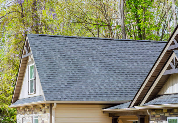 Best Roof Insulation Installation  in Waupun, WI