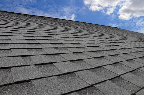 Best Solar Panel Roofing Installation  in Waupun, WI